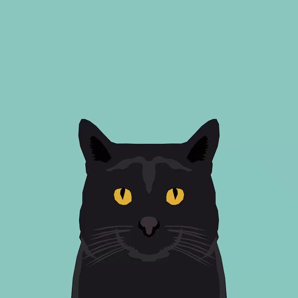 Black Cats: Cat (Black) by Pet Friendly
