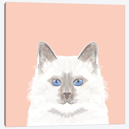 Cat (White) Canvas Print #PET22} by Pet Friendly Canvas Print