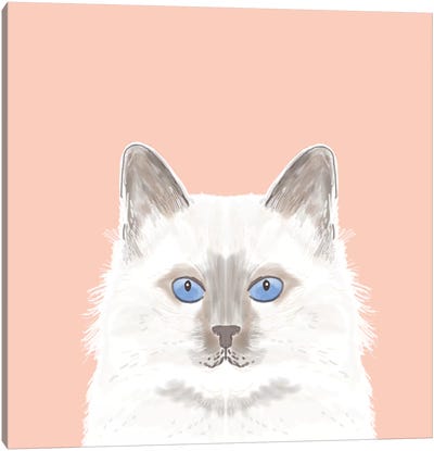 Cat (White) Canvas Art Print - Pet Friendly