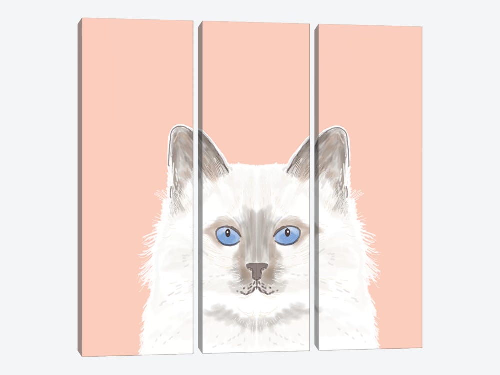 Cat (White) by Pet Friendly 3-piece Canvas Artwork