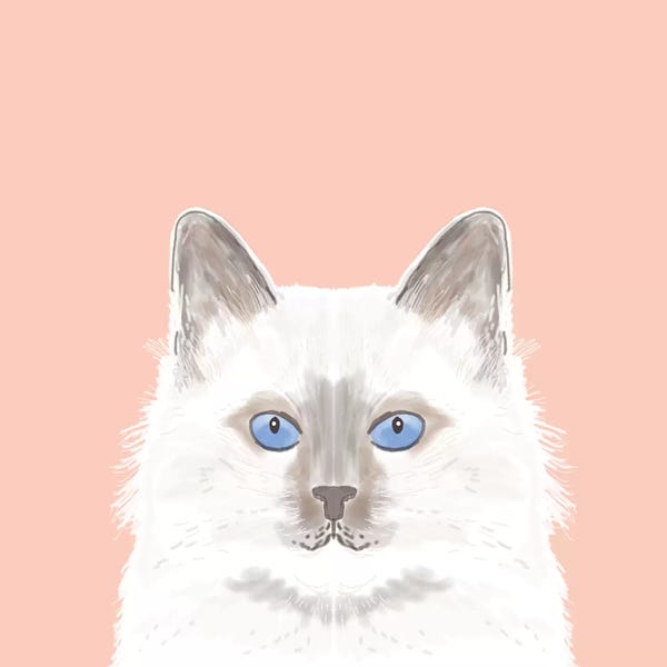 Birmans
