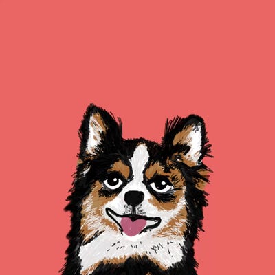 Chihuahua (Long-Haired) by Pet Friendly metal wall art