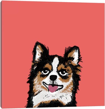 Chihuahua (Long-Haired) Canvas Art Print - Puppy Art