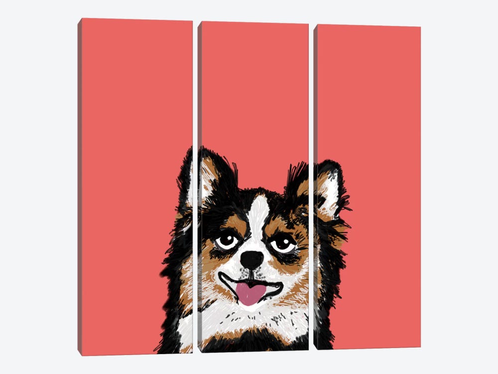 Chihuahua (Long-Haired) by Pet Friendly 3-piece Canvas Art Print