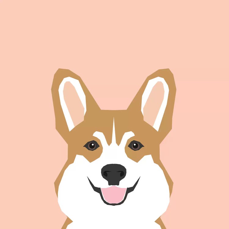 Corgi