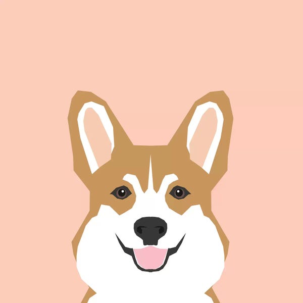 Corgis: Corgi by Pet Friendly