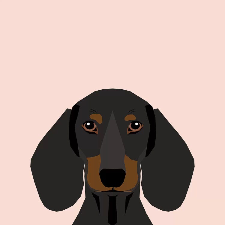 Dachshund I