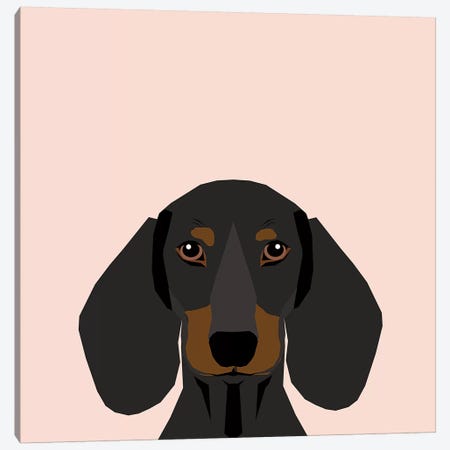 Dachshund I Canvas Print #PET31} by Pet Friendly Canvas Art