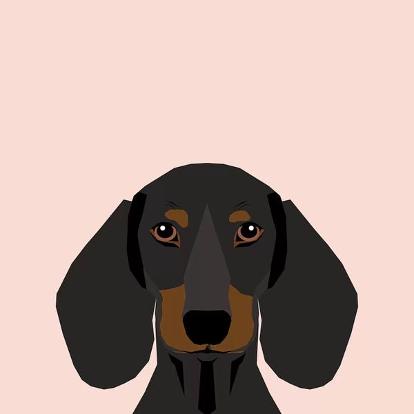 Dachshunds: Dachshund I by Pet Friendly