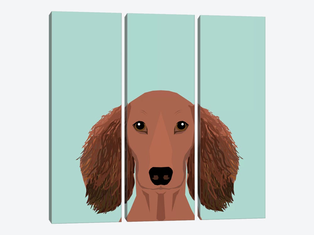 Dachshund II by Pet Friendly 3-piece Canvas Print