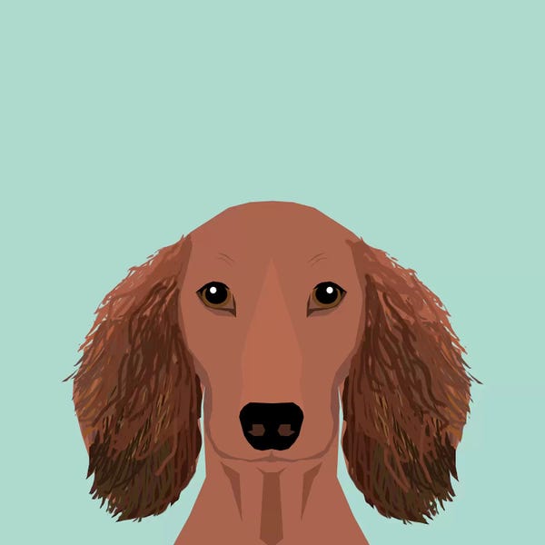 Dachshunds: Dachshund II by Pet Friendly