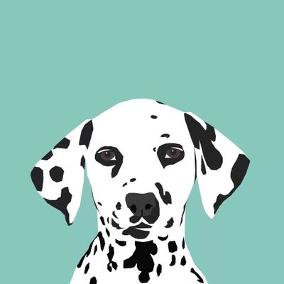 Dalmatian by Pet Friendly framed canvas print