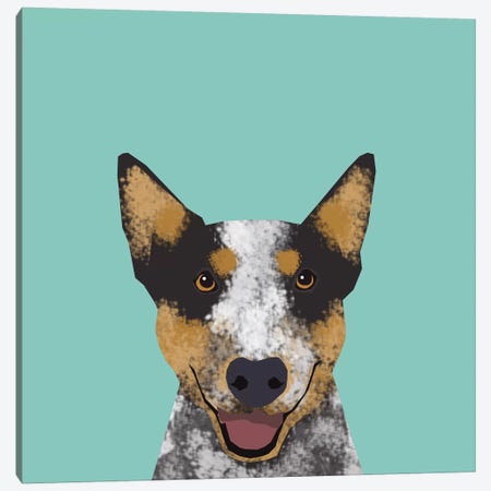 Australian Cattle Dog Canvas Print #PET3} by Pet Friendly Canvas Wall Art