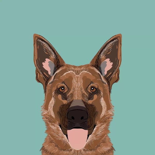German Shepherds: German Shepherd by Pet Friendly