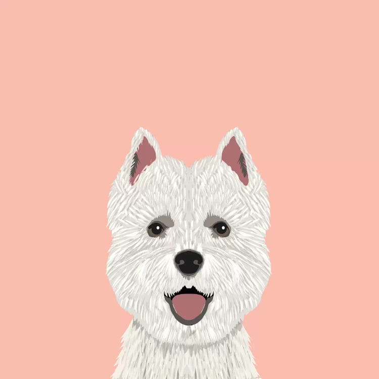 Highland Terrier by Pet Friendly wall art