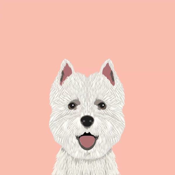 Santa Fe: Highland Terrier by Pet Friendly
