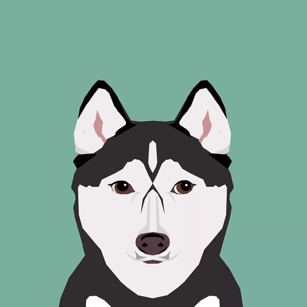 Siberian Huskies: Husky by Pet Friendly
