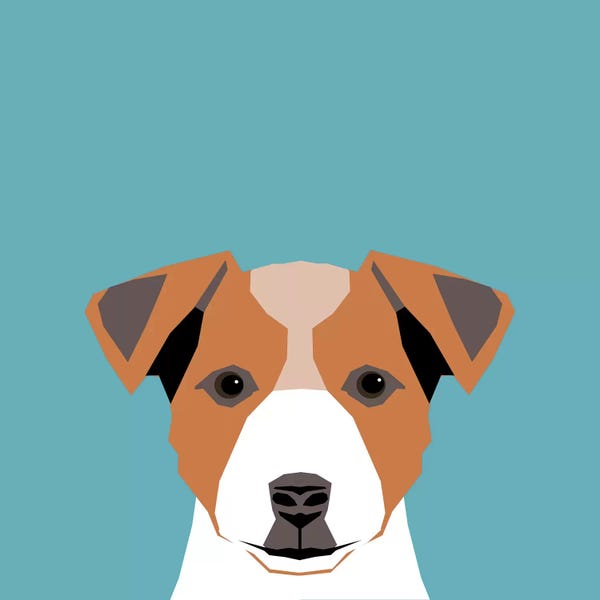 Terriers: Jack Russell Terrier by Pet Friendly