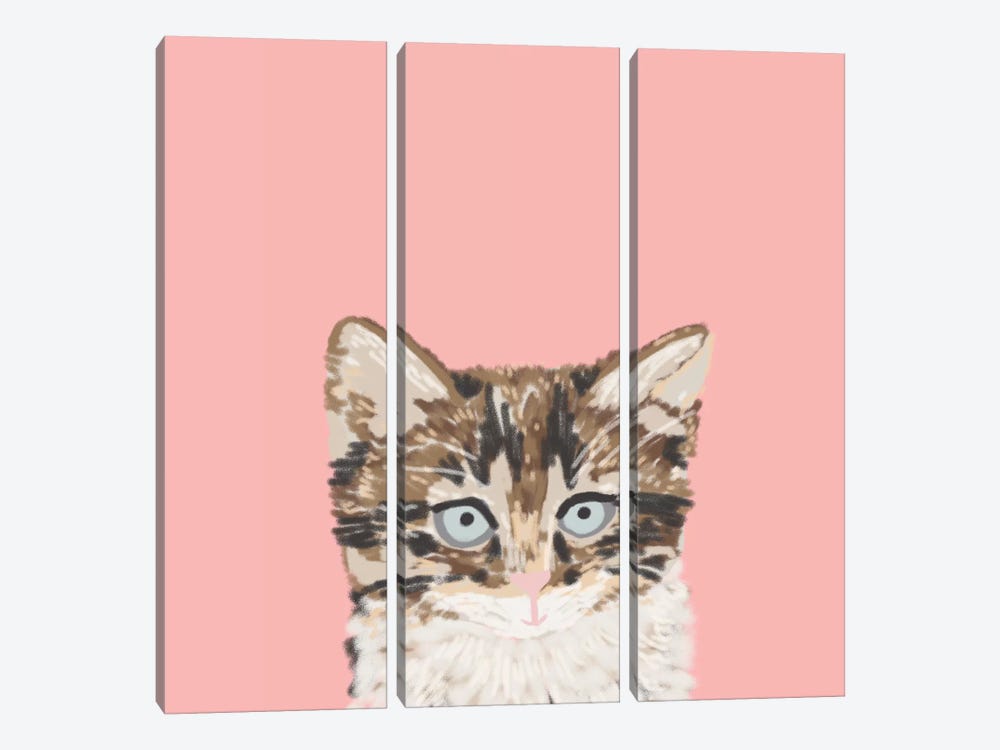 Kitten by Pet Friendly 3-piece Art Print