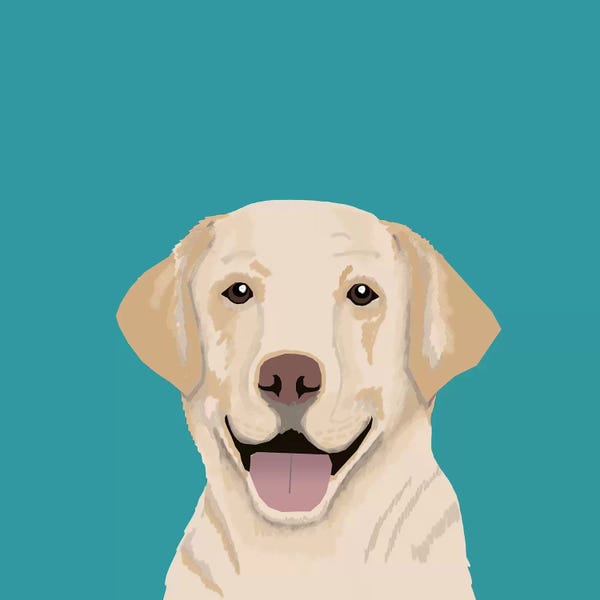 Labrador Retrievers: Labrador by Pet Friendly
