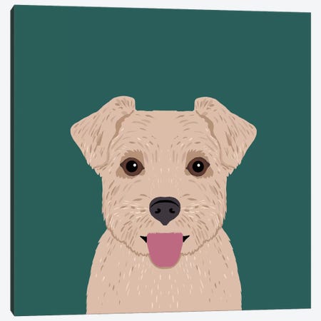Norfolk Terrier Canvas Print #PET53} by Pet Friendly Canvas Art
