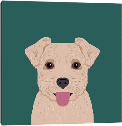 Norfolk Terrier Canvas Art Print