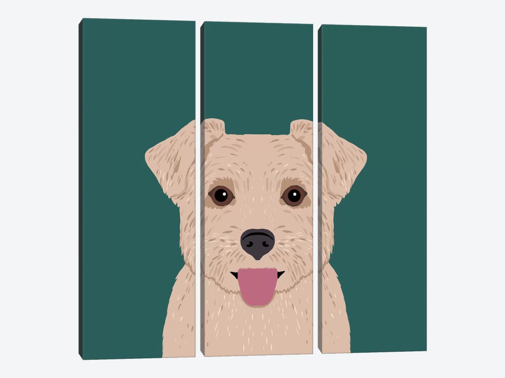 Norfolk Terrier by Pet Friendly 3-piece Canvas Art