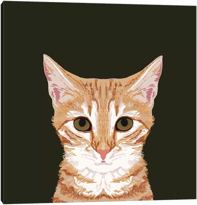 OrangeTabby Canvas Art Print - Orange Cat Art