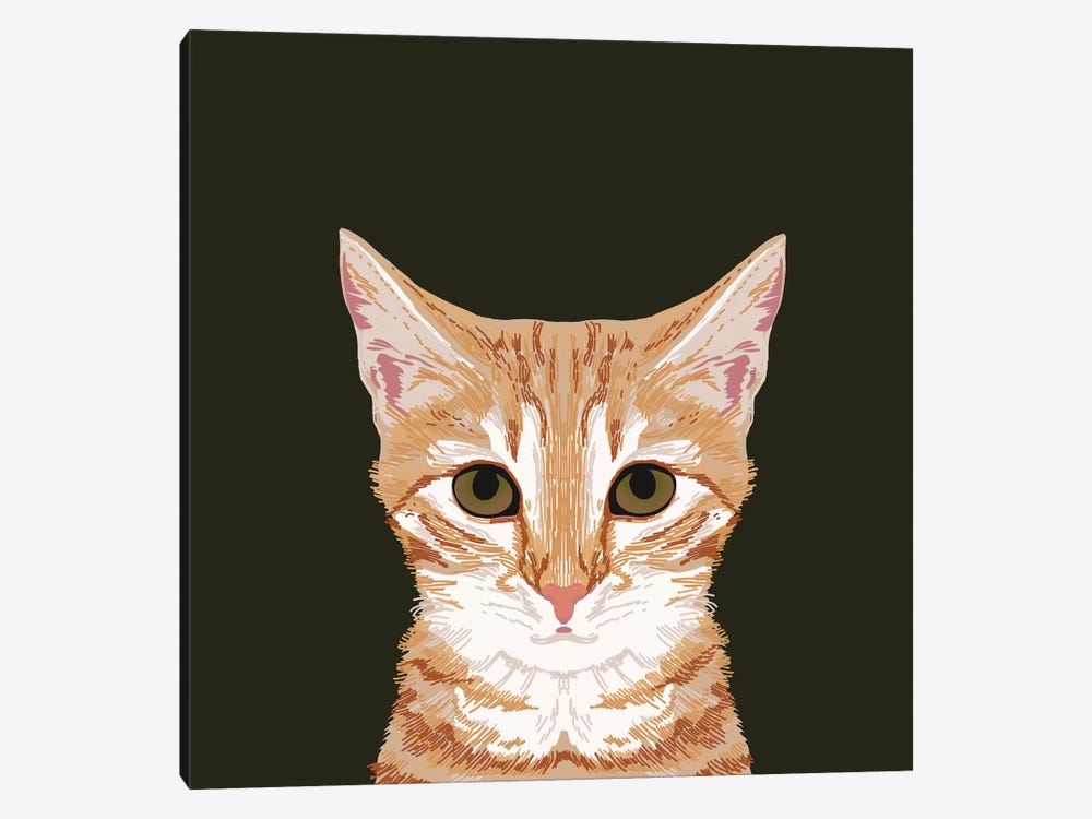 OrangeTabby by Pet Friendly 1-piece Canvas Print