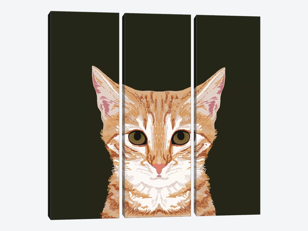OrangeTabby by Pet Friendly 3-piece Canvas Print