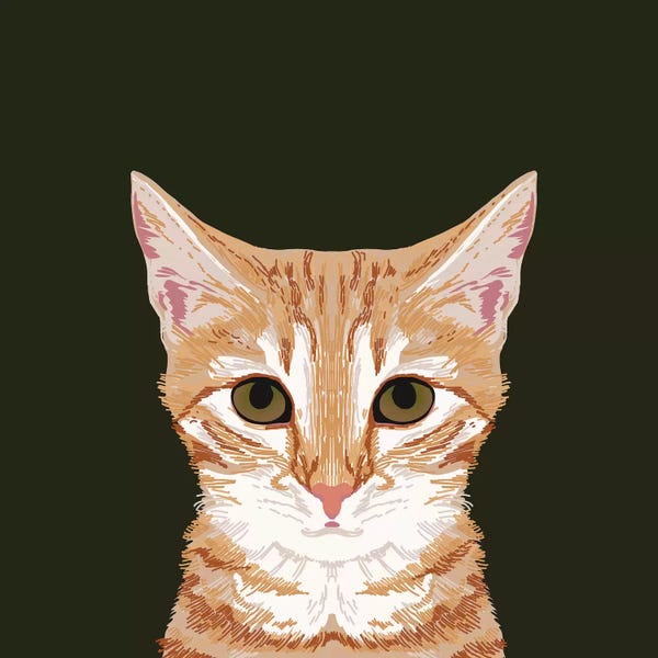 Tabbies: OrangeTabby by Pet Friendly