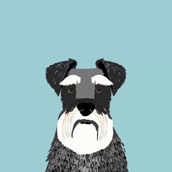 Schnauzers: Schnauzer by Pet Friendly