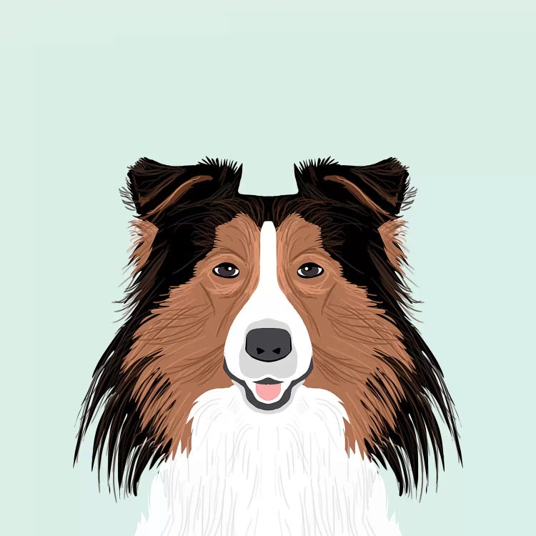 Shetland Sheepdog by Pet Friendly wall art
