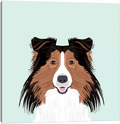 Shetland Sheepdog Canvas Art Print - Pet Friendly