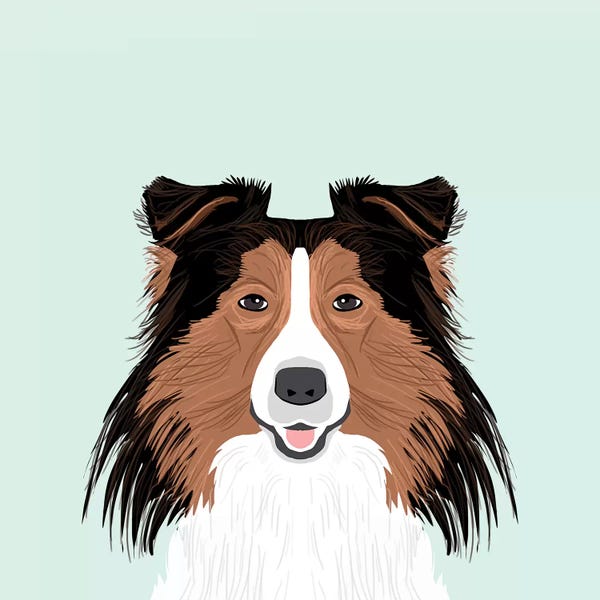 Shetland Sheepdogs: Shetland Sheepdog by Pet Friendly