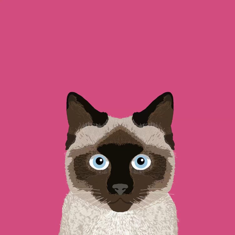 Siamese by Pet Friendly wall art