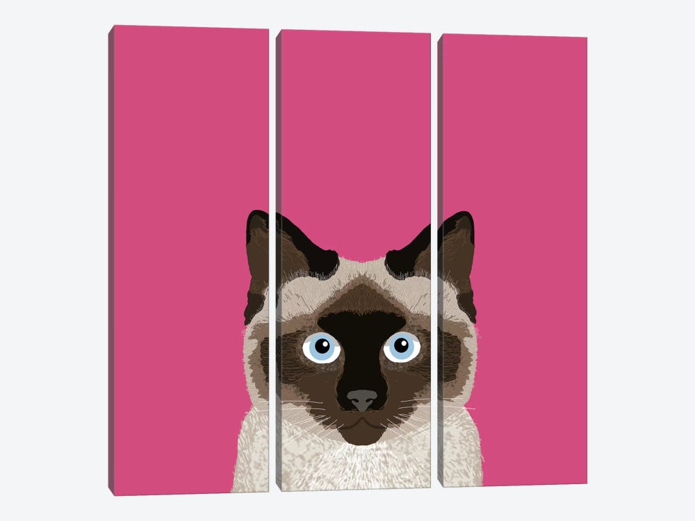 Siamese by Pet Friendly 3-piece Art Print