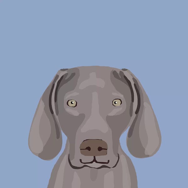 Weimaraners: Weimaraner by Pet Friendly
