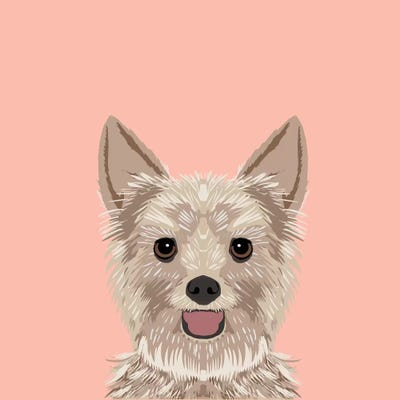 Yorkshire Terrier by Pet Friendly metal wall art