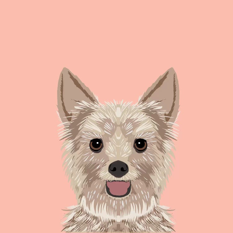 Yorkshire Terrier by Pet Friendly wall art