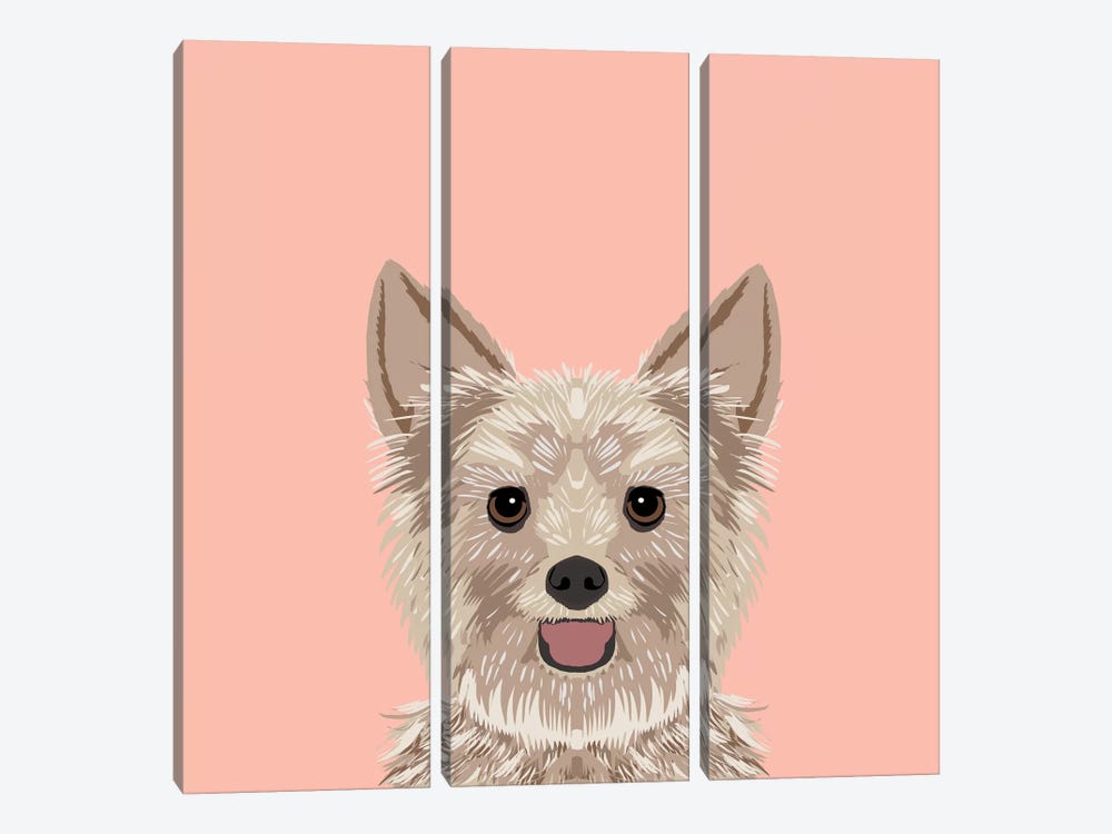 Yorkshire Terrier by Pet Friendly 3-piece Art Print