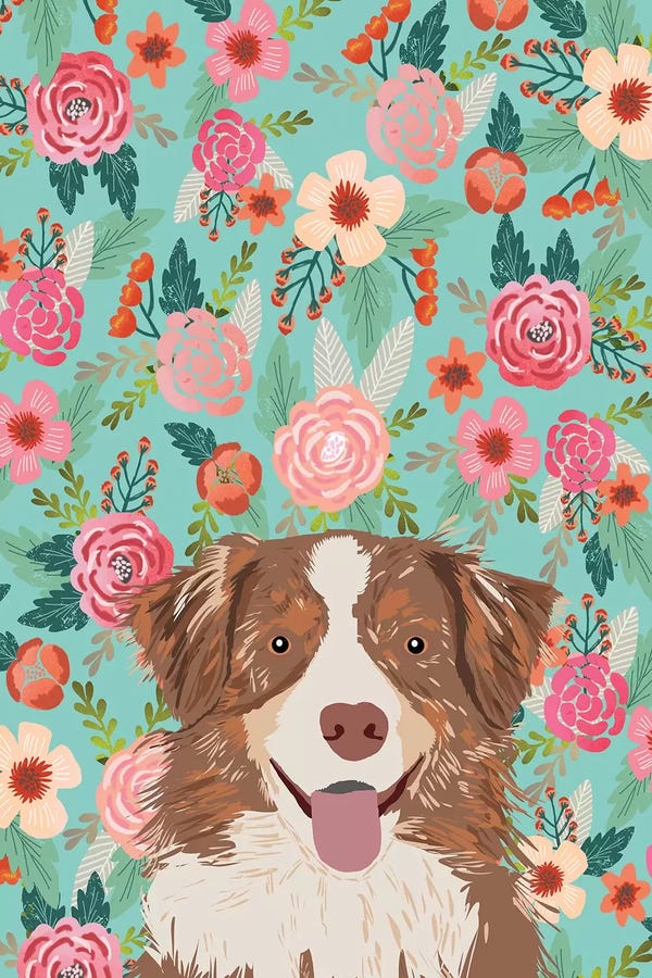 Pet Friendly