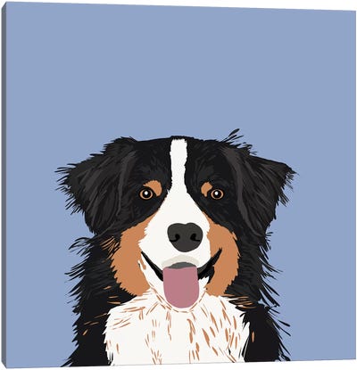 Australian Shepherd III Canvas Art Print - Pet Friendly