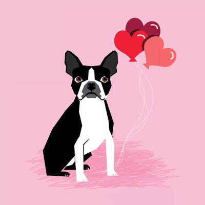 Boston Terrier Love Balloons by Pet Friendly acrylic art print