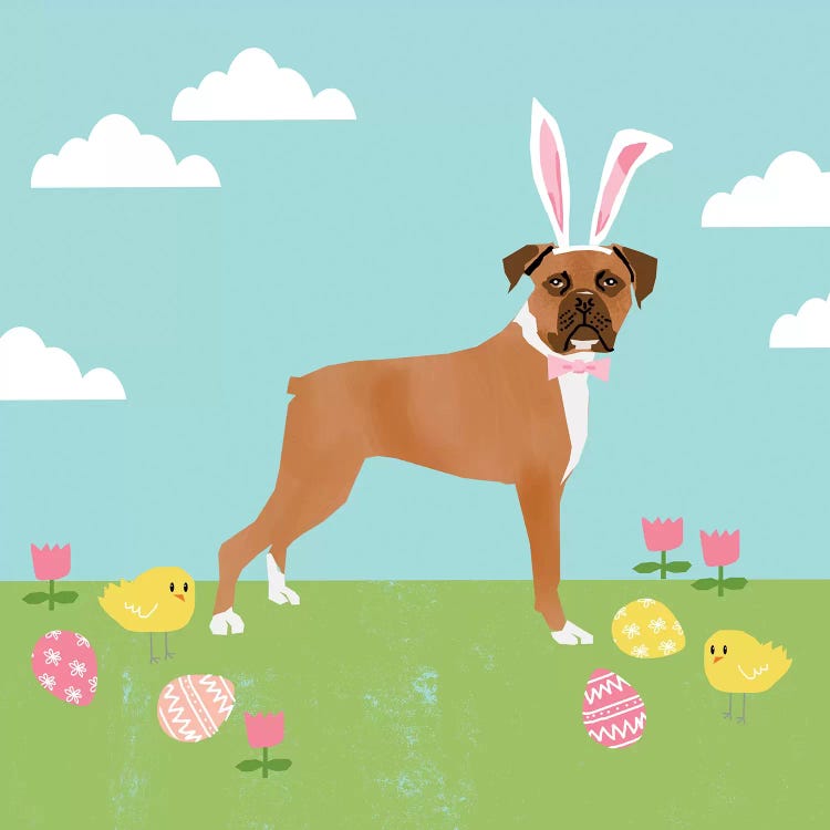 Boxer Easter