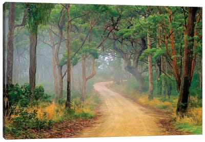 Misty Bush Book Canvas Art Print - Peter Walton