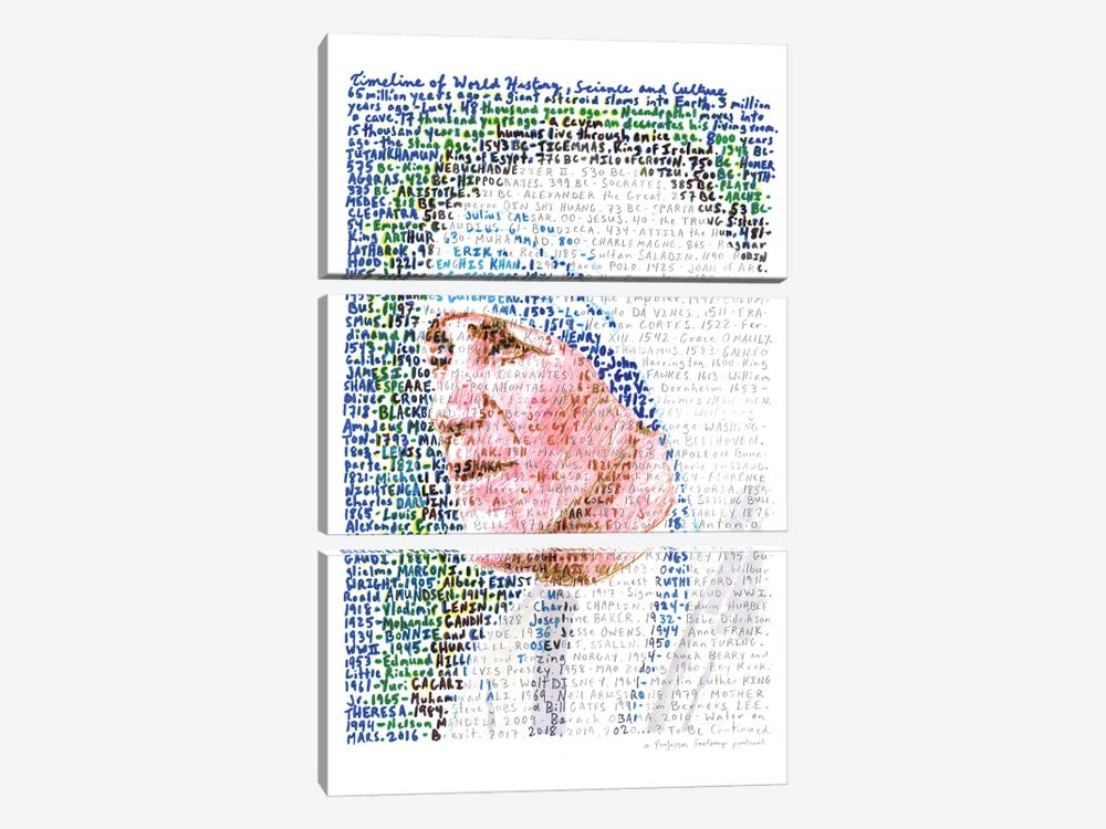 Mother Teresa by Professor Foolscap 3-piece Canvas Artwork