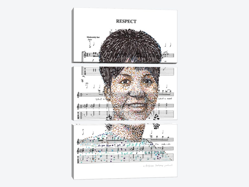 Aretha Franklin by Professor Foolscap 3-piece Canvas Art