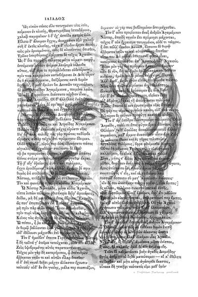 Homer, The Iliad