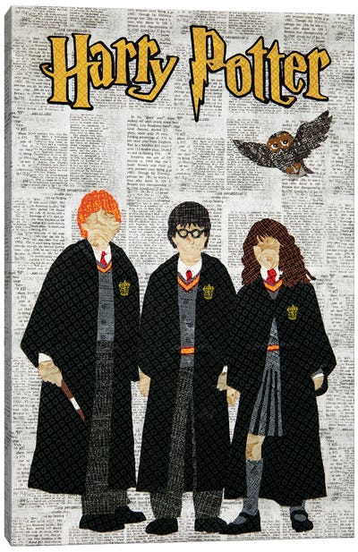 Harry Potter Canvas Art Print - Nineties Nostalgia Art
